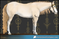 Horse Color:Chocolate Buckskin Pearl 