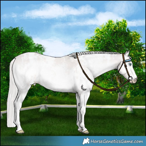 Horse Color:Platinum White Spotted Cremello Onyx Sabino