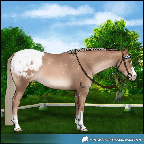 Horse Color:Liver Chestnut Pearl Mushroom Snowcap 