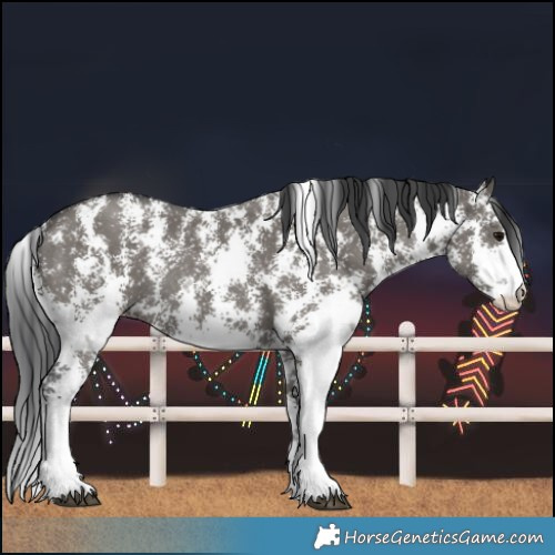 Horse Color:Grullo Sabino Rabicano 