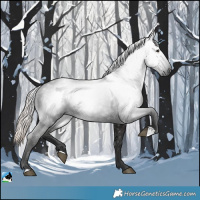 Horse Color:Gray Liver Chestnut Rabicano