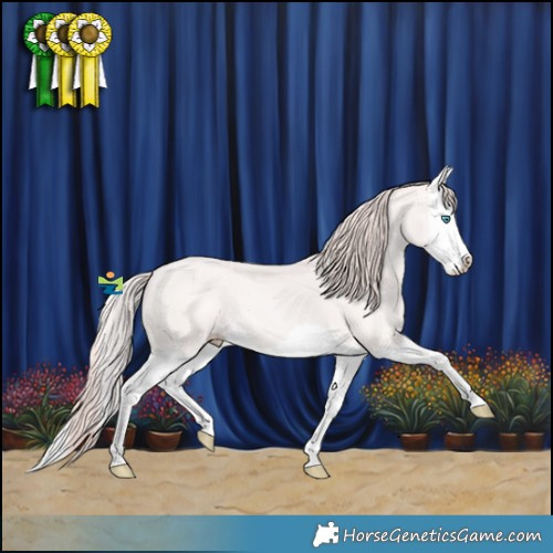 Horse Color:Perlino Splash 