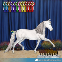 Horse Color:Perlino Splash and Perlino Splash