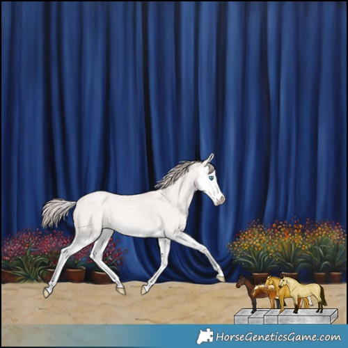 Horse Color:Perlino Splash 