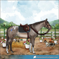 Horse Color:Brown Dun Tobiano Blanket Rabicano 