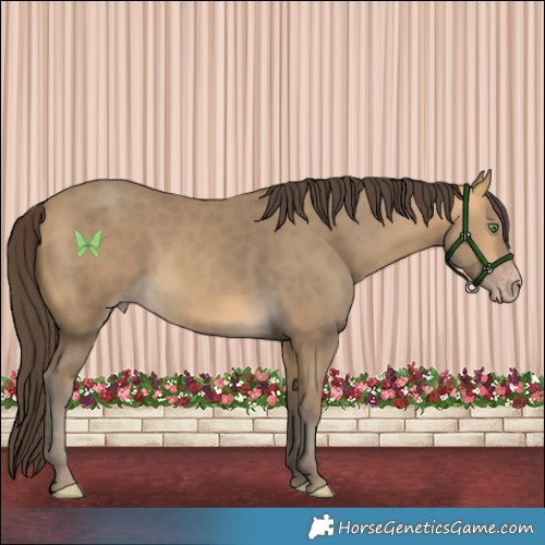 Horse Color:Sable Cream Champagne