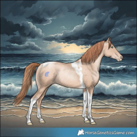 Horse Color:Sable Champagne Pearl Tobiano Rabicano 