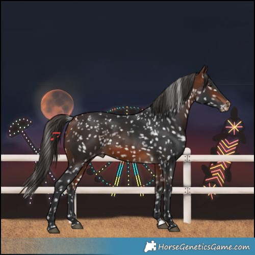 Horse Color:Bay Snowflake Varnish 
