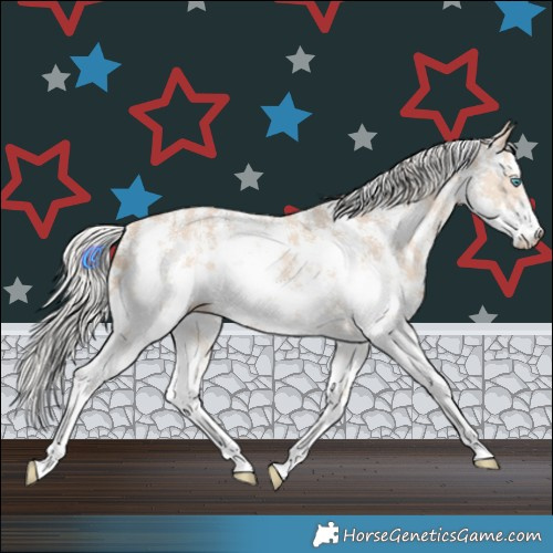 Horse Color:Cremello Sabino