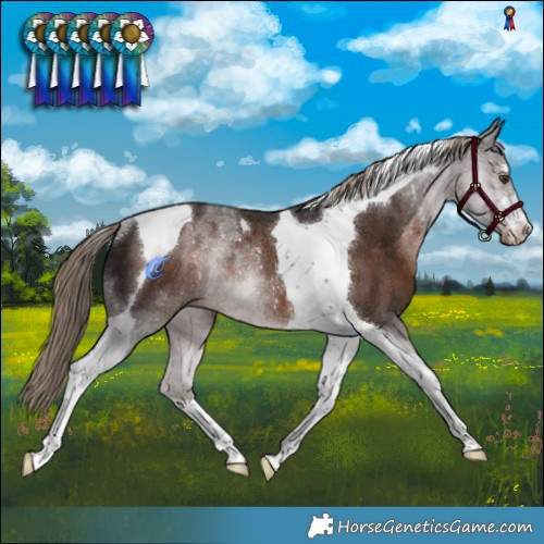 Horse Color:Liver Chestnut Tobiano Rabicano 