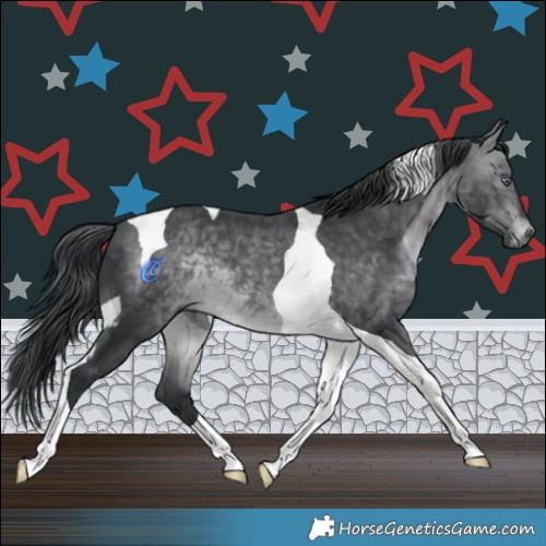 Horse Color:Brown Chinchilla Tobiano 