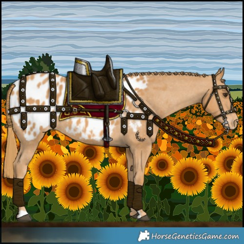 Horse Color:Chestnut Near Leopard 