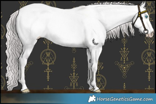 Horse Color:Platinum Perlino Dun