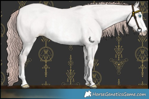 Horse Color:Platinum Buckskin Pearl Dun Sabino 