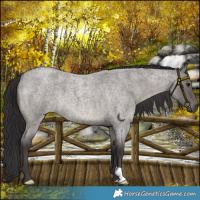 Horse Color:Platinum Smoky Grullo Roan 