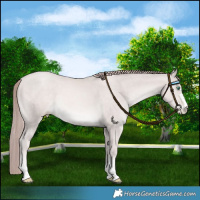Horse Color:Platinum Smoky Black Pearl 
