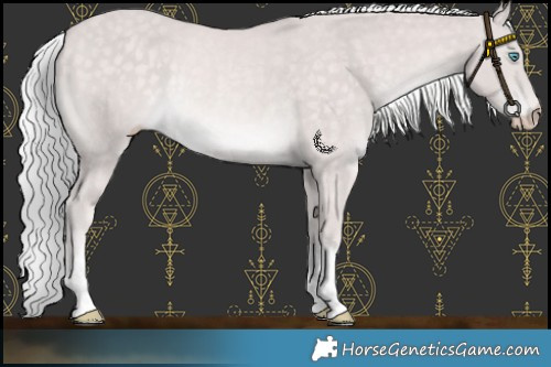 Horse Color:Platinum Silver Perlino Rabicano 