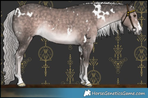 Horse Color:Platinum White Spotted Chocolate Palomino Rabicano 