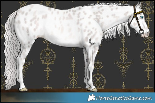 Horse Color:Platinum Chocolate Palomino Pearl Near Leopard Rabicano 