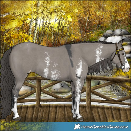 Horse Color:Platinum Grullo Sabino Varnish 