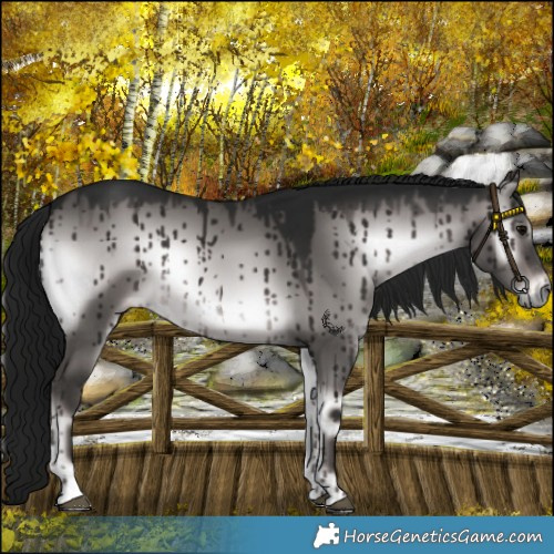 Horse Color:Gray Platinum Brown Onyx Varnish Brindle 