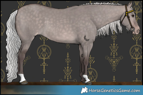 Horse Color:Platinum Silver Brown Dun Varnish 