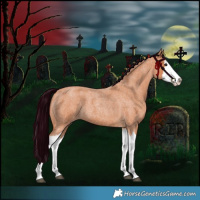 Horse Color:Bay Roan Splash 