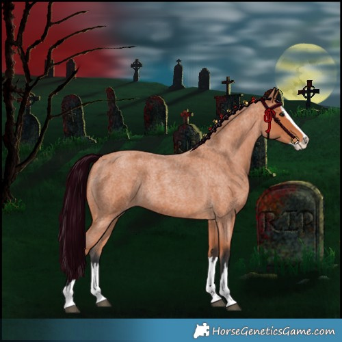 Horse Color:Bay Roan Splash