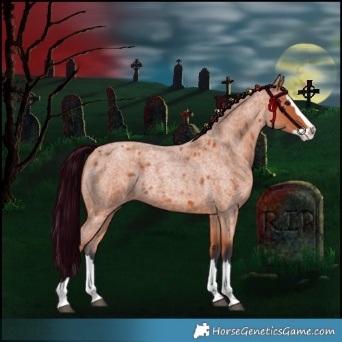 Horse Color:Bay Roan Splash 