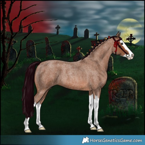 Horse Color:Bay Roan Splash 