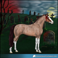 Horse Color:Bay Roan Splash 