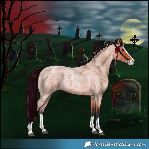 Horse Color:Bay Roan Splash