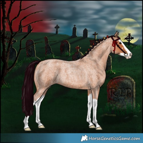 Horse Color:Bay Roan Splash 