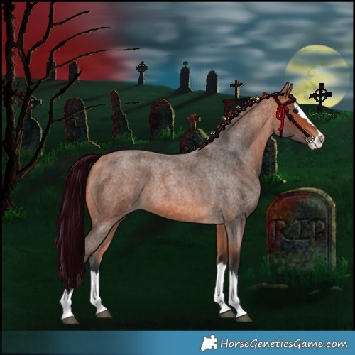 Horse Color:Bay Roan Splash 