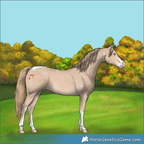 Horse Color:White Spotted Perlino Tobiano