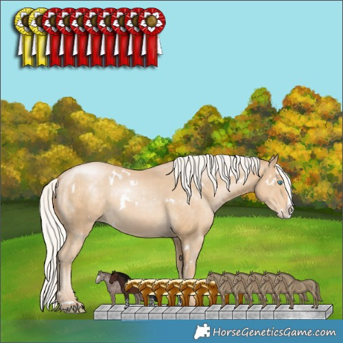 Horse Color:White Spotted Silver Smoky Black Pearl Splash Varnish 