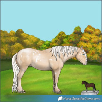 Horse Color:White Spotted Silver Smoky Black Pearl Splash Appaloosa 