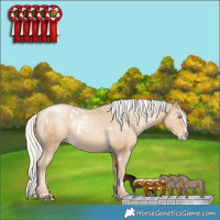 Horse Color:White Spotted Silver Smoky Black Pearl Splash Appaloosa