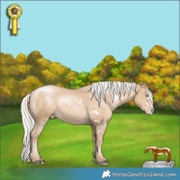 Horse Color:White Spotted Silver Smoky Black Pearl Splash Appaloosa 
