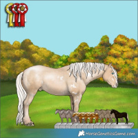 Horse Color:White Spotted Silver Smoky Black Pearl Splash Appaloosa