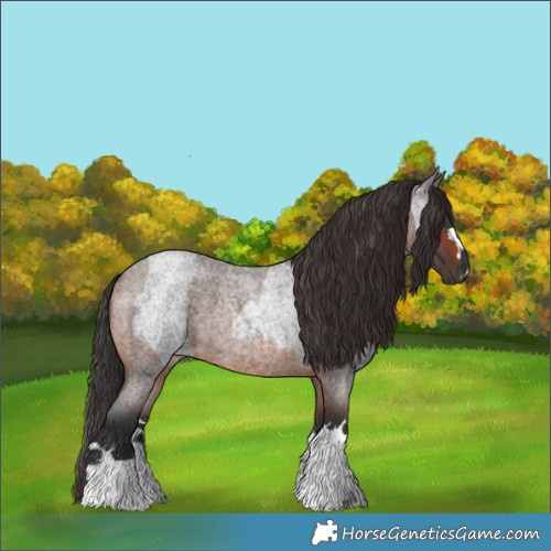 Horse Color:Blue Roan  and Brown Roan 