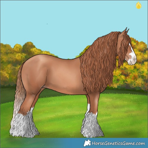 Horse Color:Gold Champagne Splash