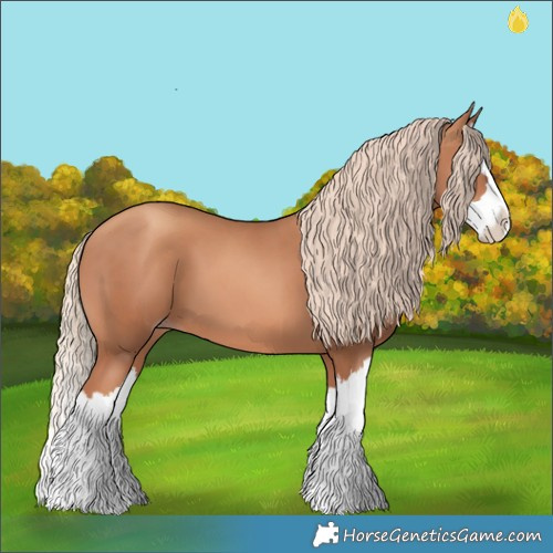 Horse Color:Gold Champagne Splash