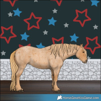 Horse Color:Red Roan 