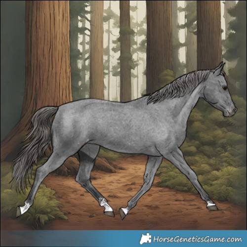 Horse Color:Black Varnish Rabicano 