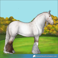 Horse Color:Gray Silver Blue Roan Pearl Tobiano 