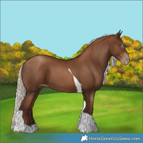 Horse Color:Gray Silver Black Pearl Tobiano 