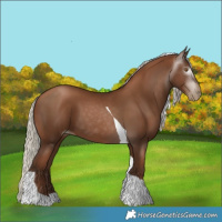 Horse Color:Gray Silver Black Pearl Tobiano 