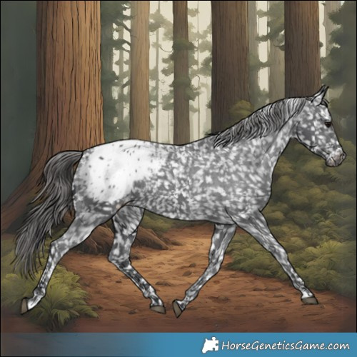 Horse Color:Black Blanket Rabicano