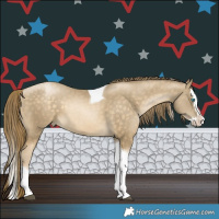 Horse Color:Brown Snowdrop Pearl Splash Tobiano